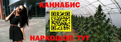 стафф Краснознаменск